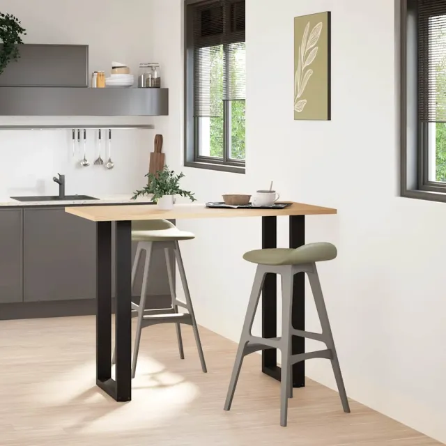 vidaXL Bartafelpoten 2 st U-vormig 50x(100-101) cm staal zwart