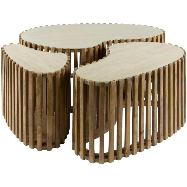 Nest of Nora Salontafel set Sora - Set van 3 Niervormig - Massief mangohout Lichtbruin