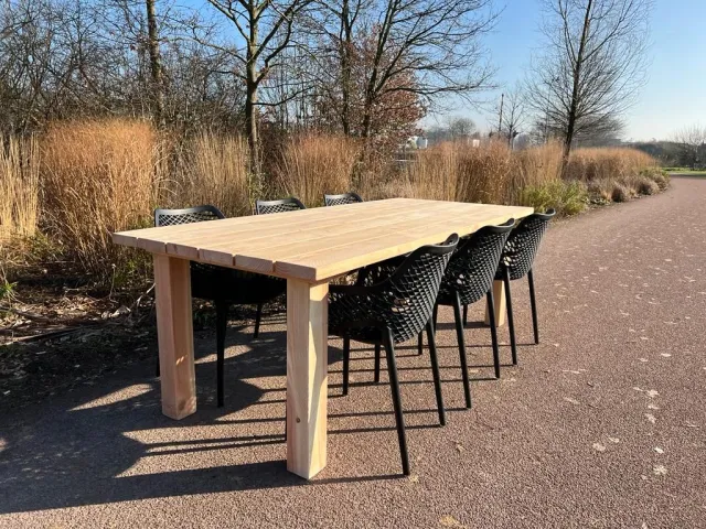 NordXL Tuintafel Douglashout Gino met houten N poten