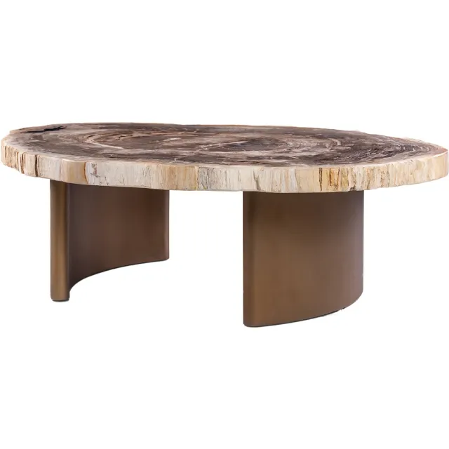 PTMD Yoel Natural Petrified Wood Coffeetable Brass Base Bruin