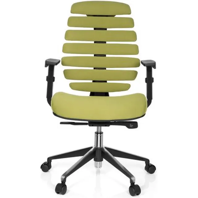 Schaffenburg Ergonomische bureaustoel 101 model Ruggengraatstoel in Groen