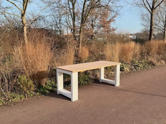 NordXL Douglas tuintafel Numa