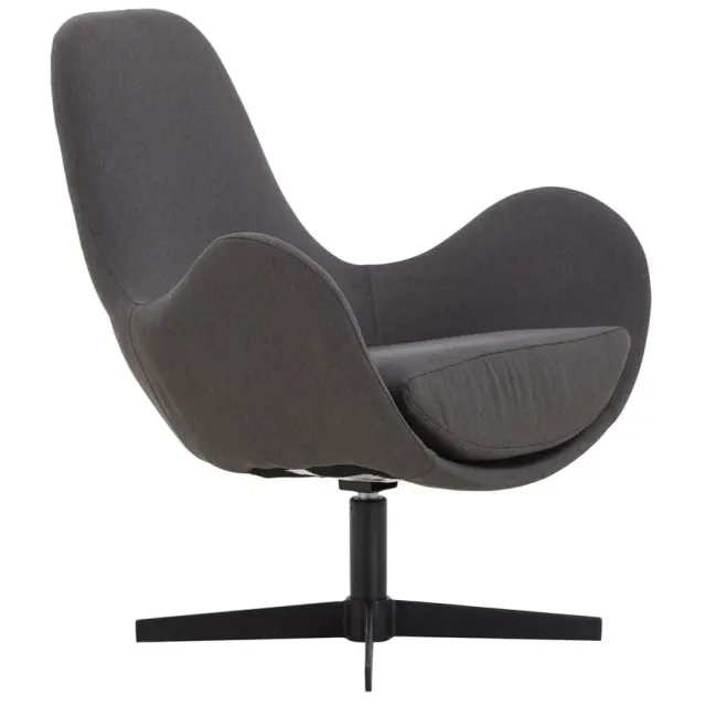fauteuil Pepijn donkergrijs