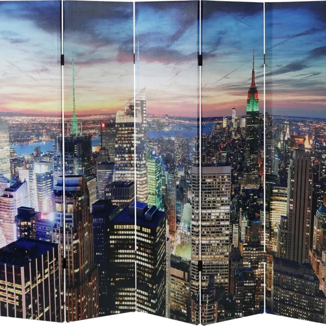 Cosmo Casa LED - scherm scheidingswandkamerdivider in New York - Timer - Op het lichtnet aangesloten - 180x200 cm - 30 LED's "Meerkleurig