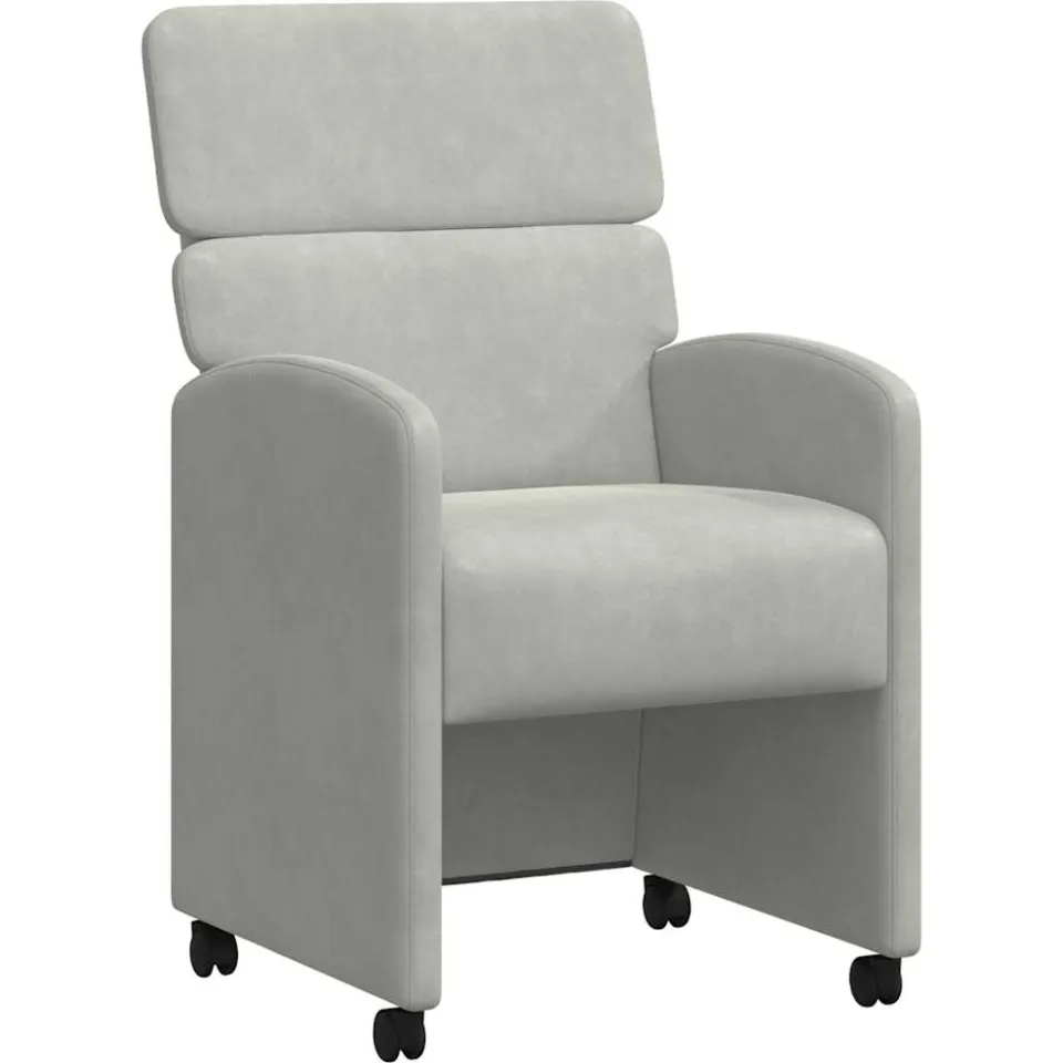 vidaXL Eetkamerstoelen met Wieltjes 2 st Fluweel Lichtgrijs