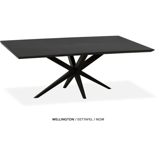 Maxfurn Zeer krasvaste eettafel met verjongde rand 240x100cm | Kleur: Noir