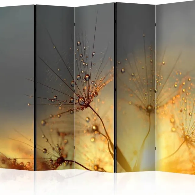 karo-art Vouwscherm / Kamerscherm - Paardebloem in de zomer 225x172cm , gemonteerd geleverd, dubbelzijdig geprint Multikleur