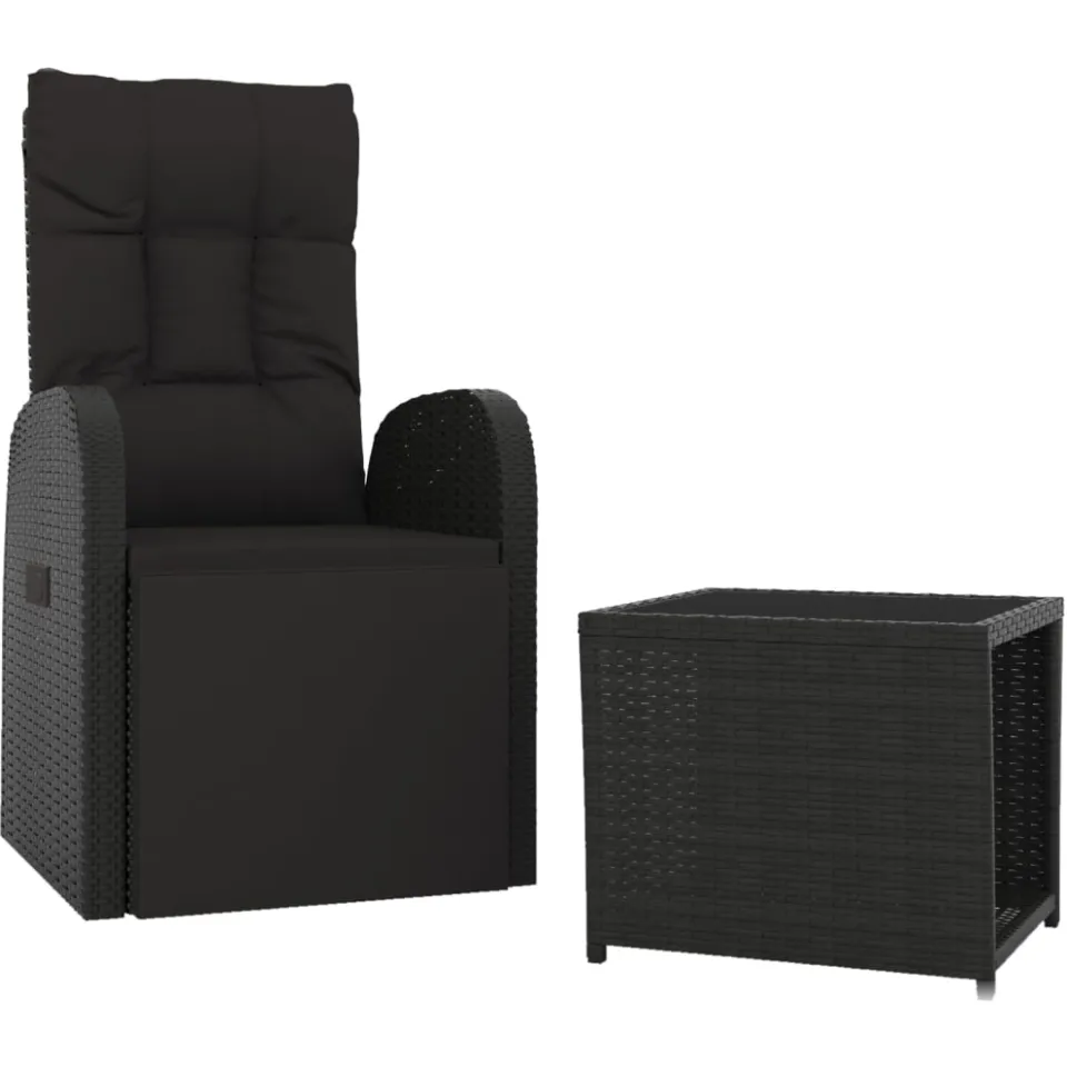 vidaXL 2-delige Loungeset poly rattan en staal zwart
