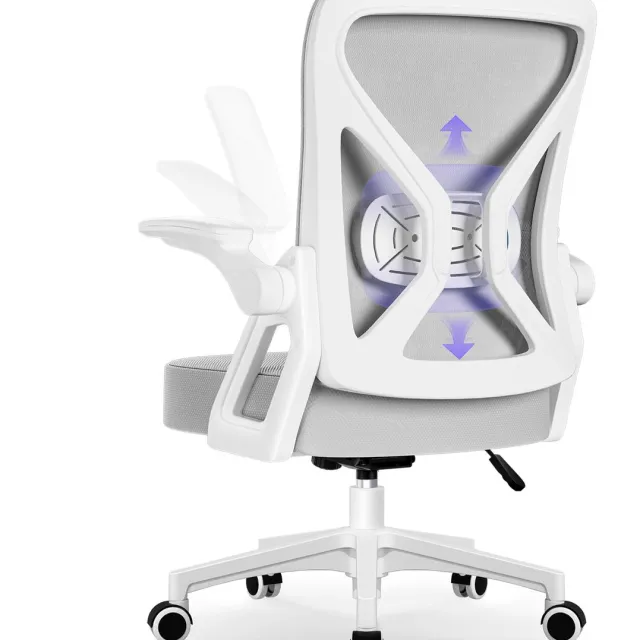 Hiazurm Bureaustoel - Ergonomische bureaustoel - bureaustoelen voor volwassenen - Opklapbare armleuningen - Lendensteun - Verdikt en verbreed zitkussen - Grijs