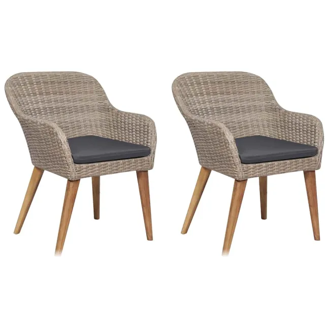 vidaXL Tuinstoelen 2 st met kussens poly rattan bruin