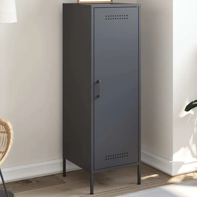 vidaXL Hoge kast 36x39x113 cm staal antracietkleurig, foto 2