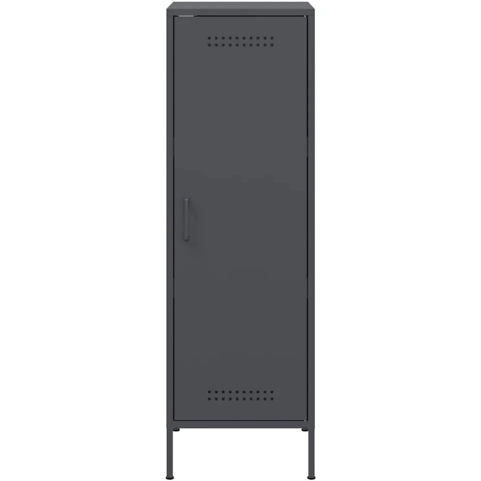 vidaXL Hoge kast 36x39x113 cm staal antracietkleurig, foto 4