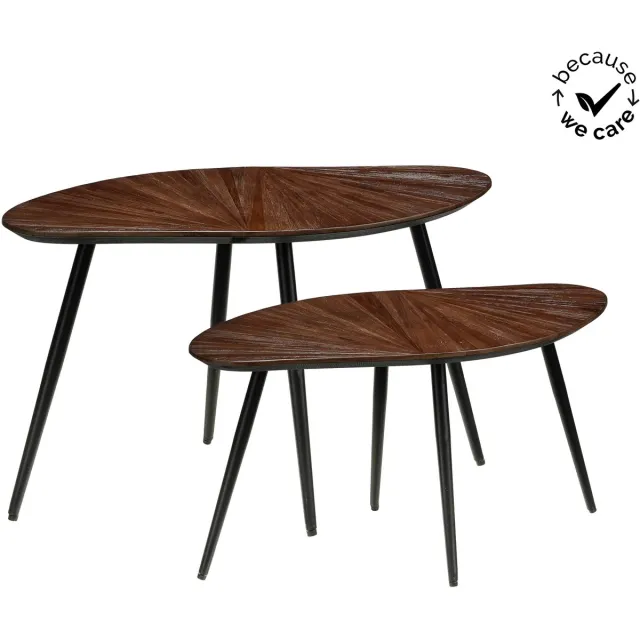 Mica Decorations Dane Bijzettafel Set van 2 - Bruin - Organisch Design - Zwarte Metalen Poten - L79 X B39 X H45 cm