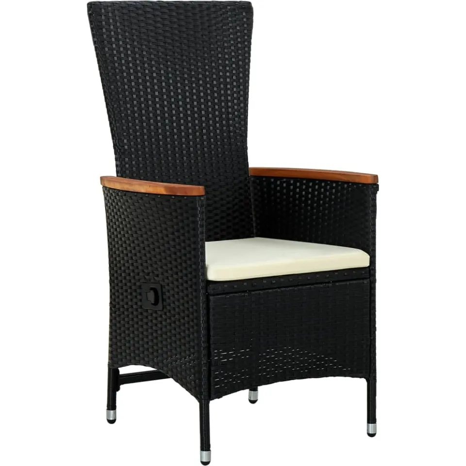 vidaXL 11-delige Tuinset met kussens poly rattan zwart, foto 4