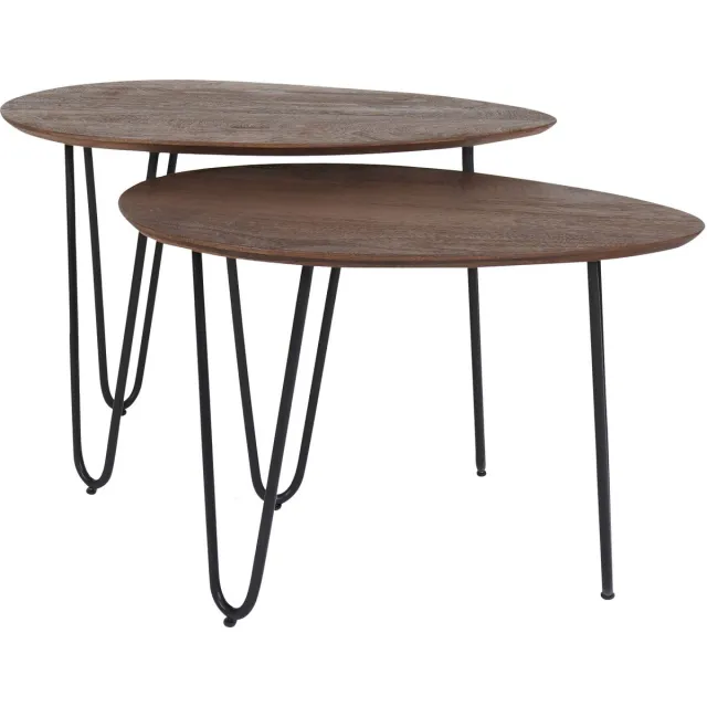 Home67 Salontafel Fabio - Espresso Mangohout - Set van 2 - Organisch - Japandi - Zwart metalen poten Bruin