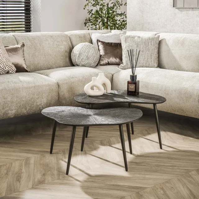 Dimehouse Salontafelset Jax Organisch Brons Donkerbruin Set van 2 - 76 x 62 x 41 cm - Hout - Industrieel - Rond