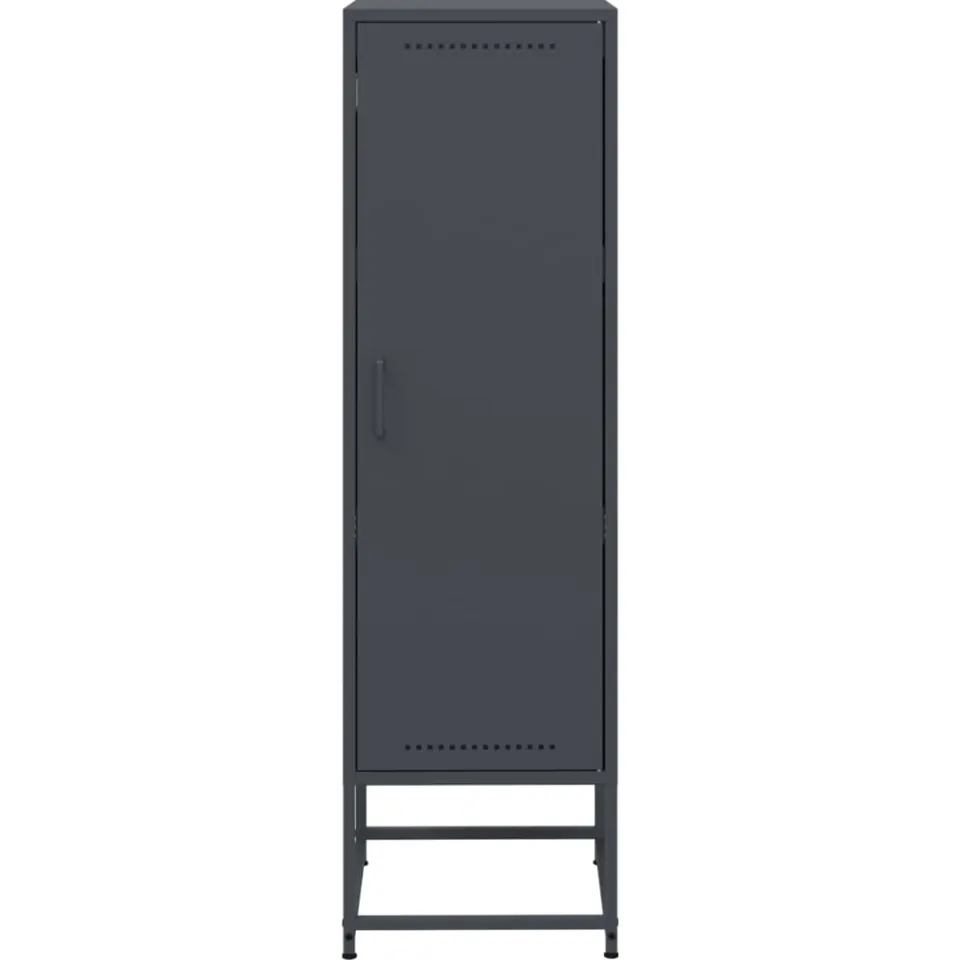 vidaXL Hoge kast 36x39x123 cm staal antracietkleurig, foto 4