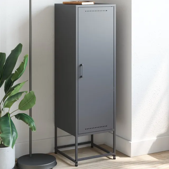 vidaXL Hoge kast 36x39x123 cm staal antracietkleurig, foto 2