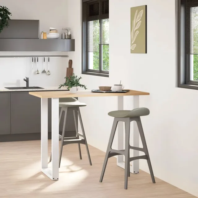 vidaXL Bartafelpoten 2 st U-vormig 60x(100-101) cm staal wit