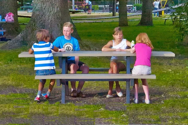 Rockwood® Picknicktafel Zwaar Kunststof XL Rolstoelvariant 2.40m Naturel