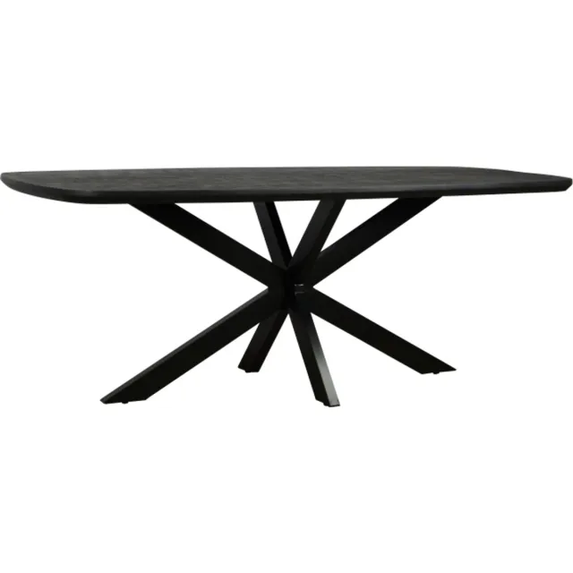 Meubelplaats Eettafel Colorado Deens ovaal mangohout 280x110 cm - zwart