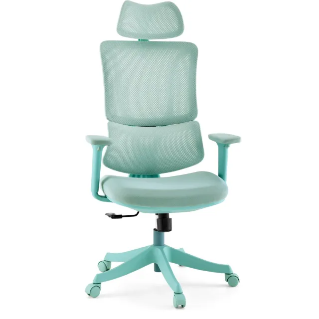 Bureaustoel / Draaistoel Ergomy Colore 3D netstof / Zitting stof salie mybuero
