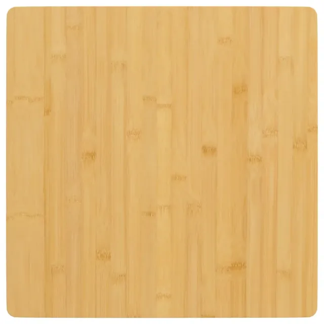 vidaXL Tafelblad 60x60x2,5 cm bamboe bruin, foto 2
