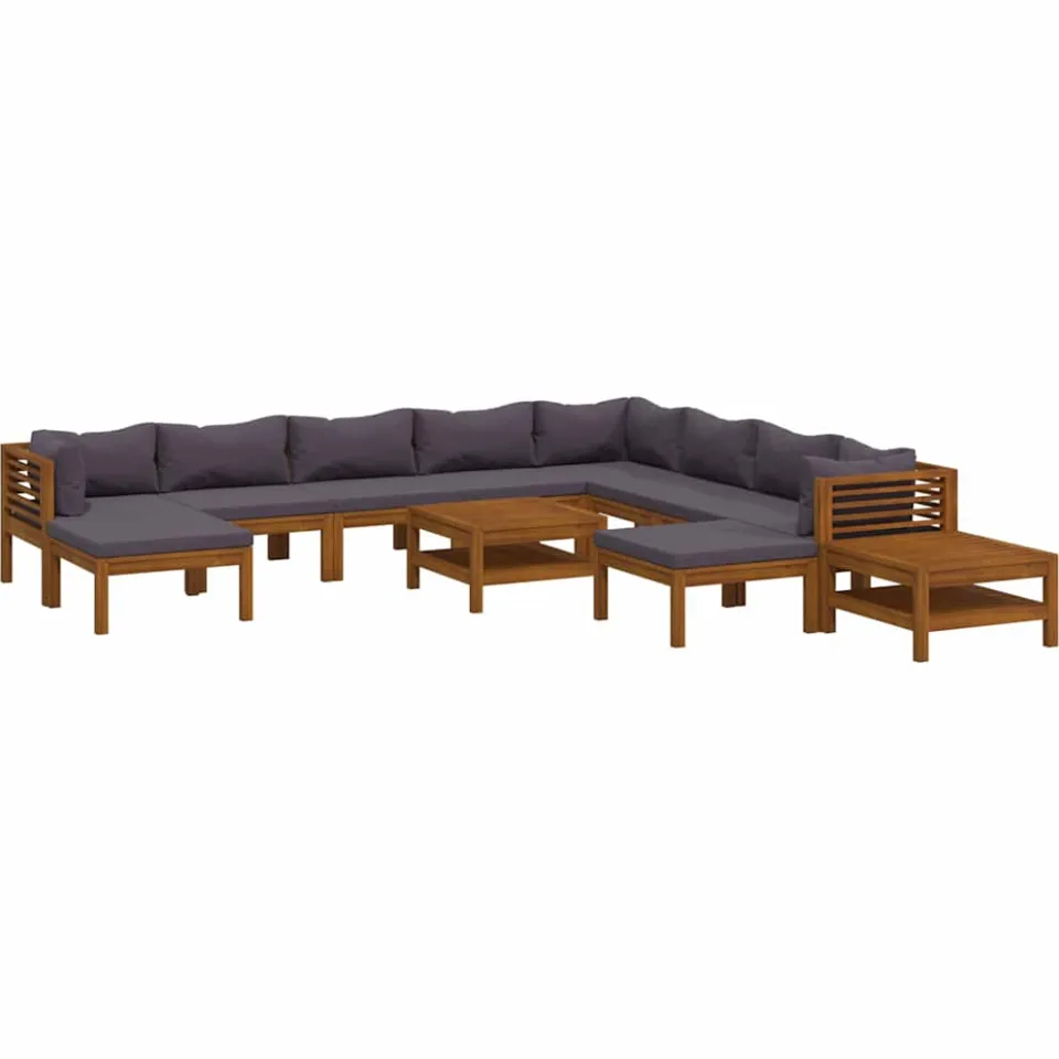 vidaXL 12-delige Loungeset met kussens massief acaciahout Grijs