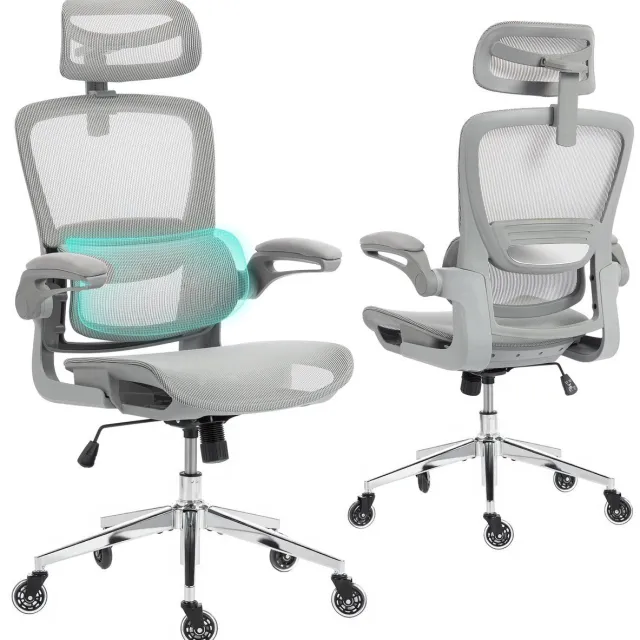 Ergoreal Ergonomische Bureaustoel - Office Chair - met 3D-hoofdsteu - Verstelbare armleuningen - Lendensteun - Grijs