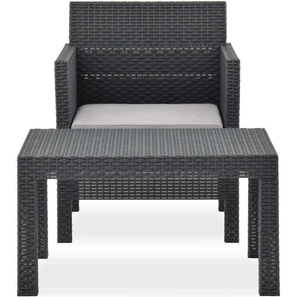 vidaXL 2-delige Loungeset met kussen PP rattan antracietkleurig Anthraciet