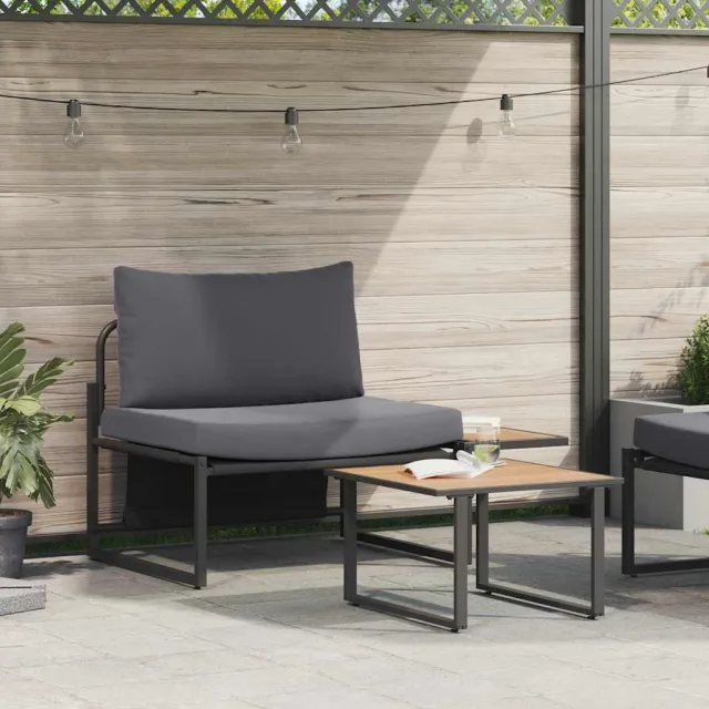 vidaXL Tuinbankenset 2 st Antraciet Staal Anthraciet