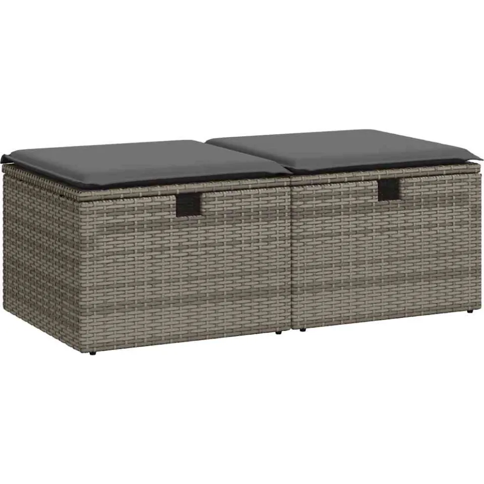 vidaXL 2-delige Loungeset met kussens poly rattan acacia grijs