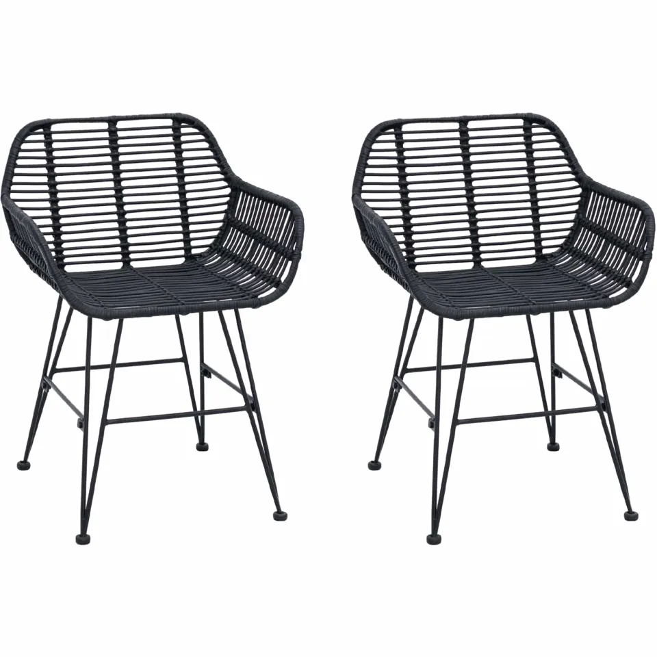 vidaXL Eetkamerstoel 2 st Riet en IJzer Zwart 55 x 50 x 74 cm