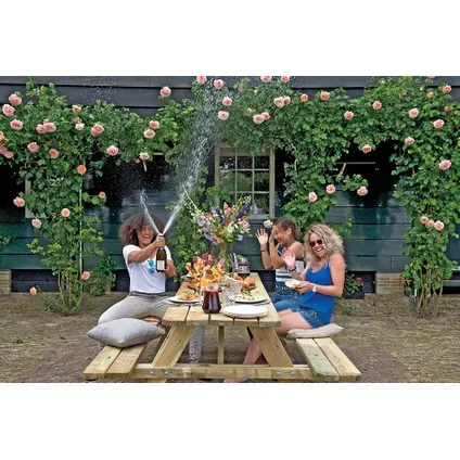 Picknicktafel "deluxe" Naaldhout 180x70cm hout, foto 2