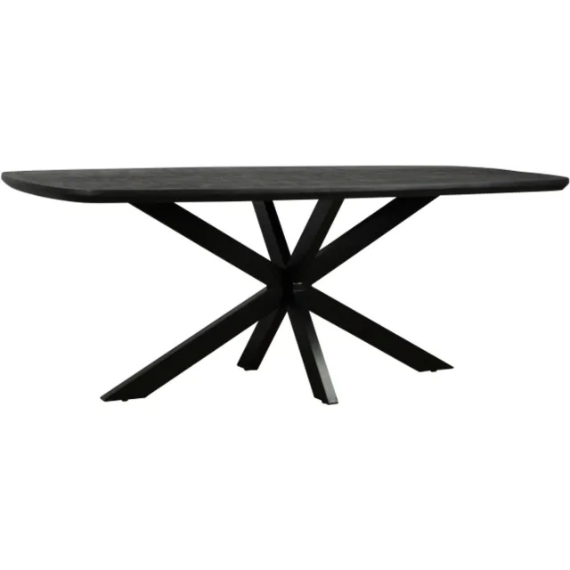 Meubelplaats Eettafel Colorado Deens ovaal mangohout 200x100 cm - zwart