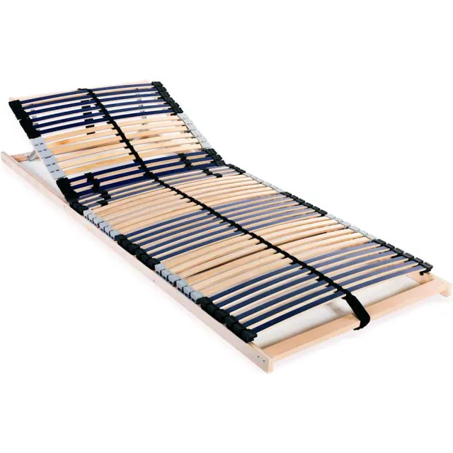 vidaXL Lattenbodem met 42 latten 7 zones 90x200 cm Meerkleurig