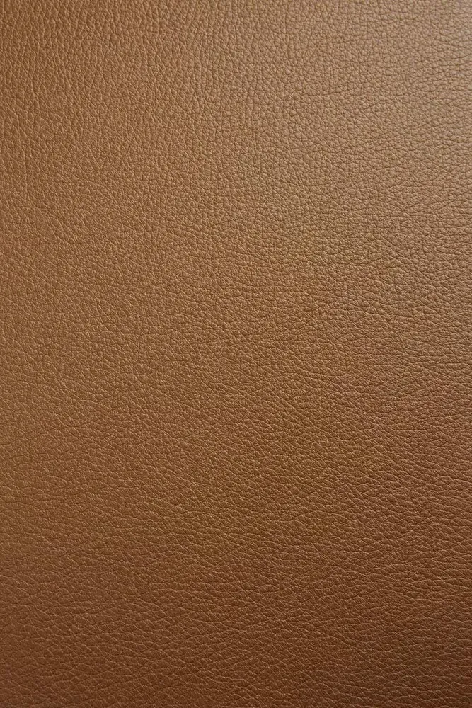 Ethnicraft Bok eetkamerstoel cognac, foto 8