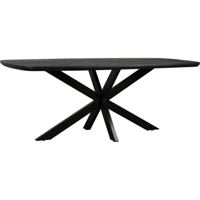 Meubelplaats Eettafel Colorado Deens ovaal mangohout 220x110 cm - zwart