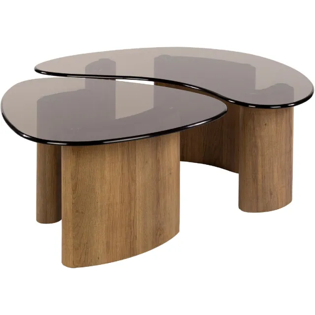 Nest of Nora Salontafel Arlen - Organische vormen set van 2 - Brons glas koffietafel