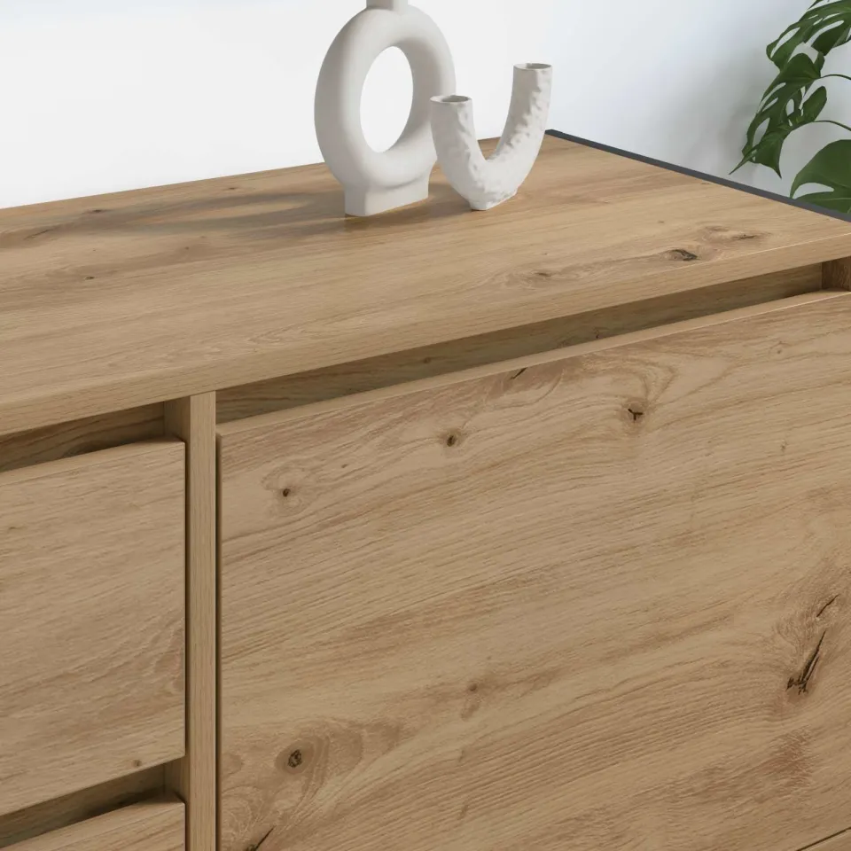 vidaXL TV-kast 100 x 36 x 49.5 cm Artisanaal eiken Bewerkt hout, foto 4