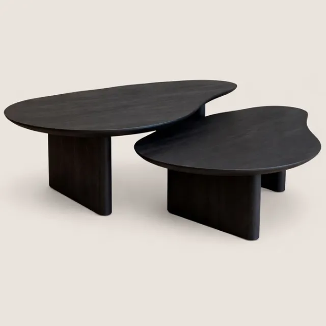 Niva Home Salontafel Set van 2 Mangohout – Organisch – Zwart – Modern Design