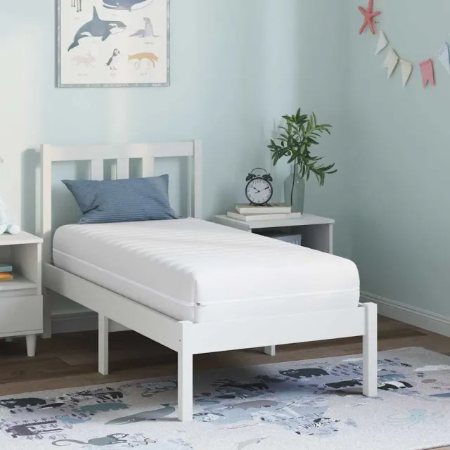 vidaXL Matras met Kokoslaag Medium stevig 60 x 120 cm Wit