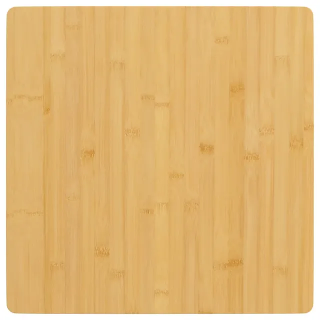 vidaXL Tafelblad 60x60x4 cm bamboe bruin, foto 2