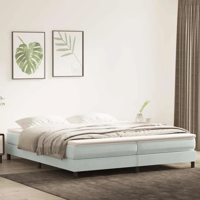 vidaXL Boxspring zonder matras fluweel lichtgrijs 200x210 cm