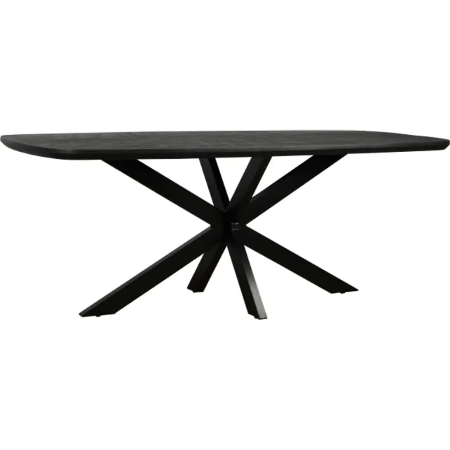 Meubelplaats Eettafel Colorado Deens ovaal mangohout 240x110 cm - zwart