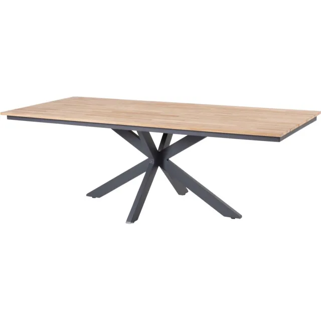 4 Seasons Outdoor Minerva dining tuintafel 220x95xH75 cm teak alu 4 Seasons Antraciet, Bruin / Terre