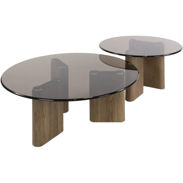 Nest of Nora Set van 2 - Nest of Nora Salontafel Arlen - Rond - Bruin rookglas blad - Salontafelset / ronde salontafels woonkamer - Onderdelen in elkaar te schuiven Brons
