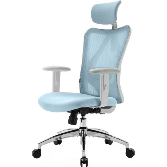 Sihoo M18 Ergonomische Bureaustoel - Ademend Mesh - Verstelbare Hoofd&Lendensteun - Bureaustoelen voor Volwassenen tot 150kg - Kantoor/Thuis/Gaming - Blauw M18-Blauw