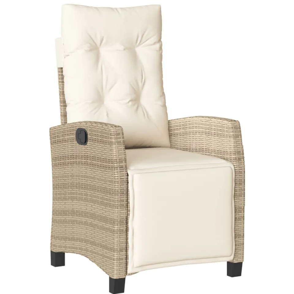 vidaXL 9-delige Tuinset met kussens poly rattan beige