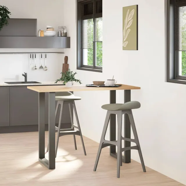 vidaXL Bartafelpoten 2 st U-vormig 60x(100-101) cm staal antraciet Anthraciet